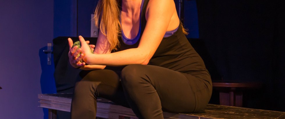 Bitch Boxer 8- ©Helmut Bär Bitch Boxer 8- ©Helmut Bär