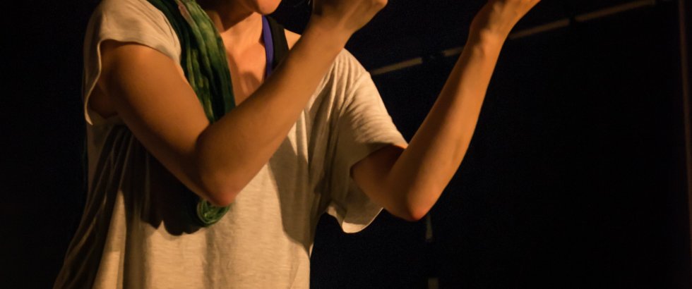 Bitch Boxer 12- ©Helmut Bär Bitch Boxer 12- ©Helmut Bär