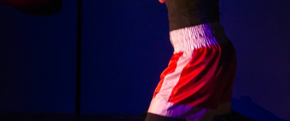 Bitch Boxer 19- ©Helmut Bär Bitch Boxer 19- ©Helmut Bär